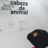 Exposicion Cabeza de animal Pedro Mora Sala Atin Aya Sevilla