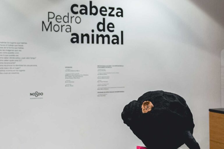 Exposicion Cabeza de animal Pedro Mora Sala Atin Aya Sevilla